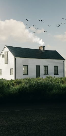[2436x1125]郊外 房屋 飞鸟 自然 苹果手机壁纸图片