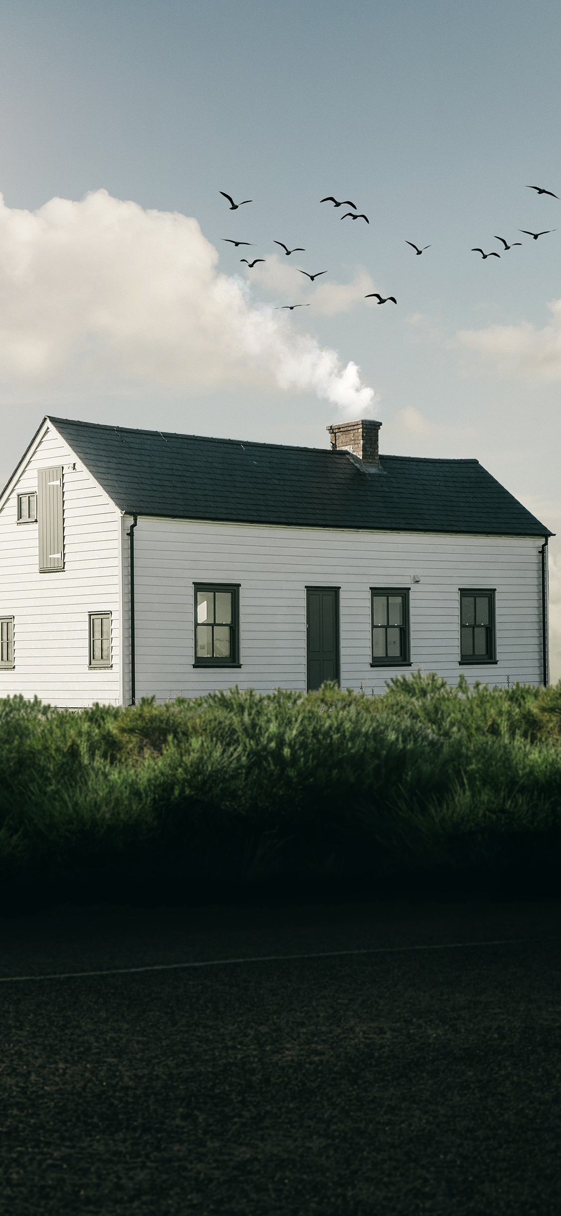 [2436×1125]郊外 房屋 飞鸟 自然 苹果手机壁纸图片