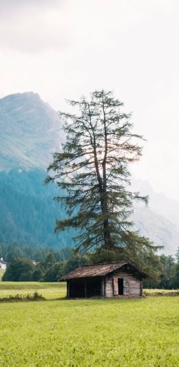 [2436x1125]郊外 木屋 树木 草地 苹果手机壁纸图片