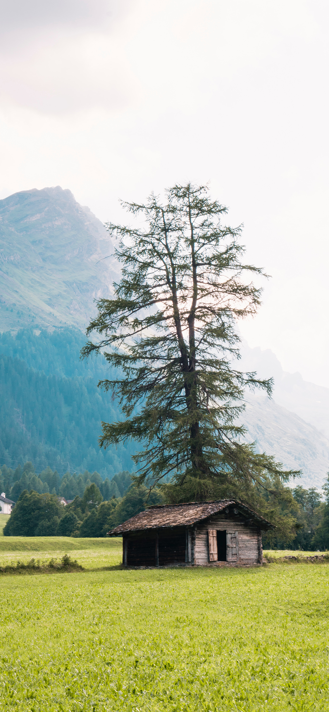 [2436×1125]郊外 木屋 树木 草地 苹果手机壁纸图片