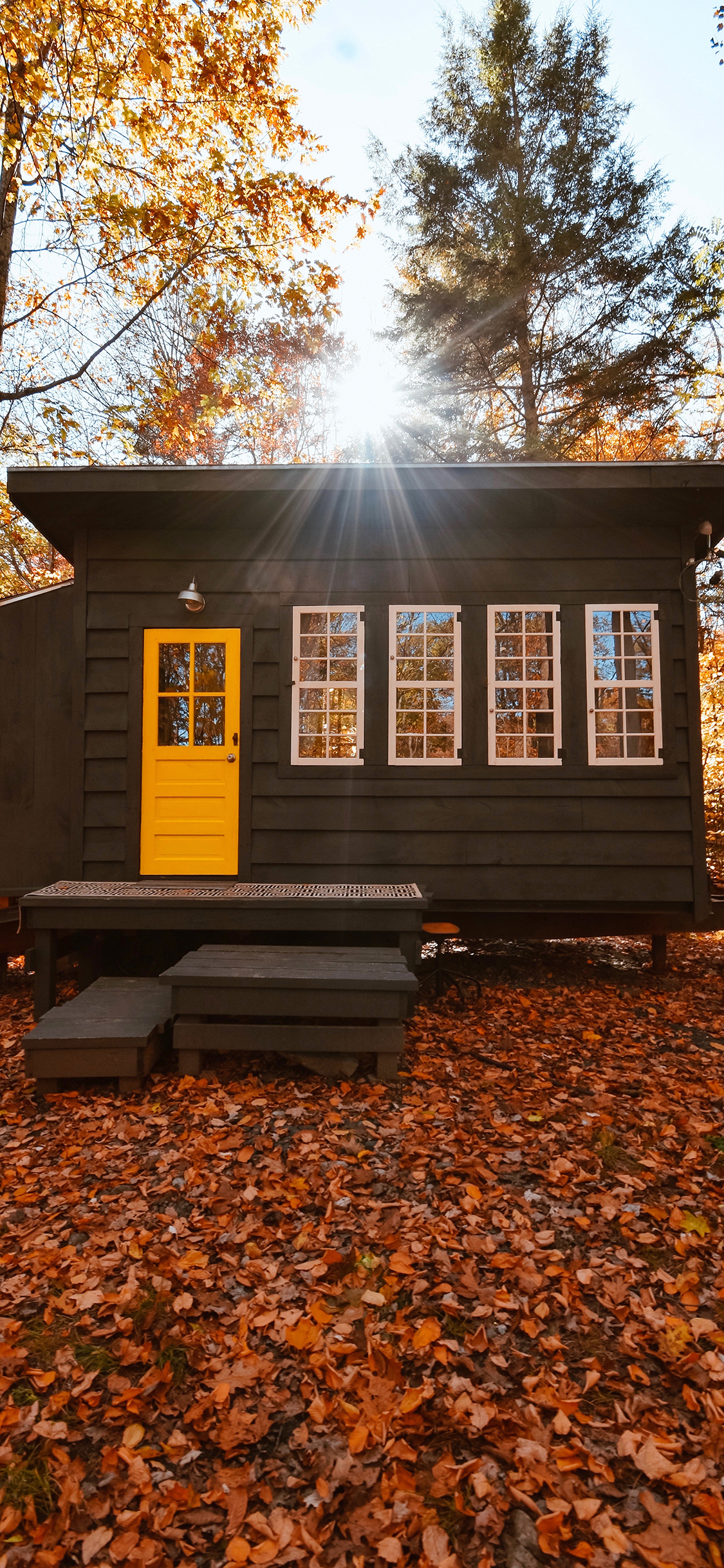 [2436×1125]郊外 林中 木屋 落叶 阳光 苹果手机壁纸图片