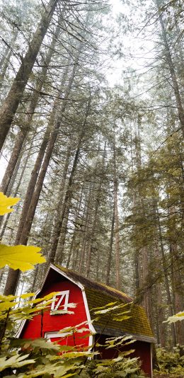 [2436x1125]郊外 林间 小屋 红色 苹果手机壁纸图片