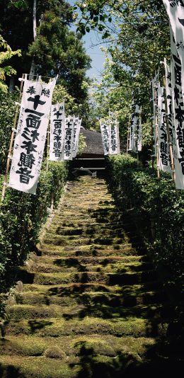 [2436x1125]郊外 楼梯 树木 旗帜 苹果手机壁纸图片