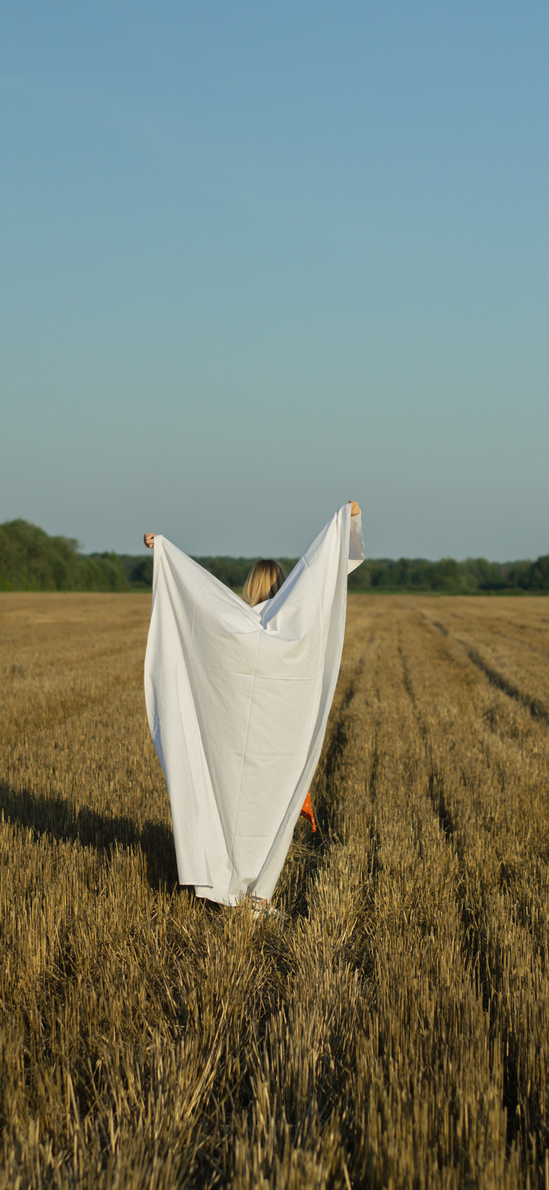 [2436×1125]郊外 稻田 写真 白色床单 苹果手机壁纸图片