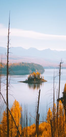 [2436x1125]郊外 美景 自然 湖泊 树木 苹果手机壁纸图片