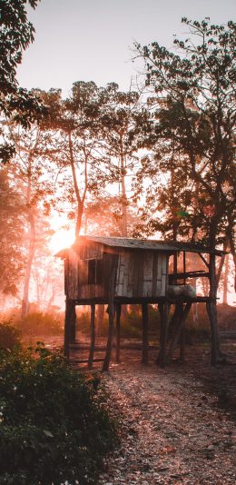 [2436x1125]郊外 自然 小木屋 阳光 苹果手机壁纸图片