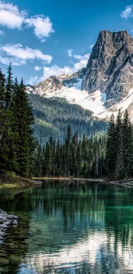 [2436x1125]郊外 自然 山湖美景 树木 苹果手机壁纸图片