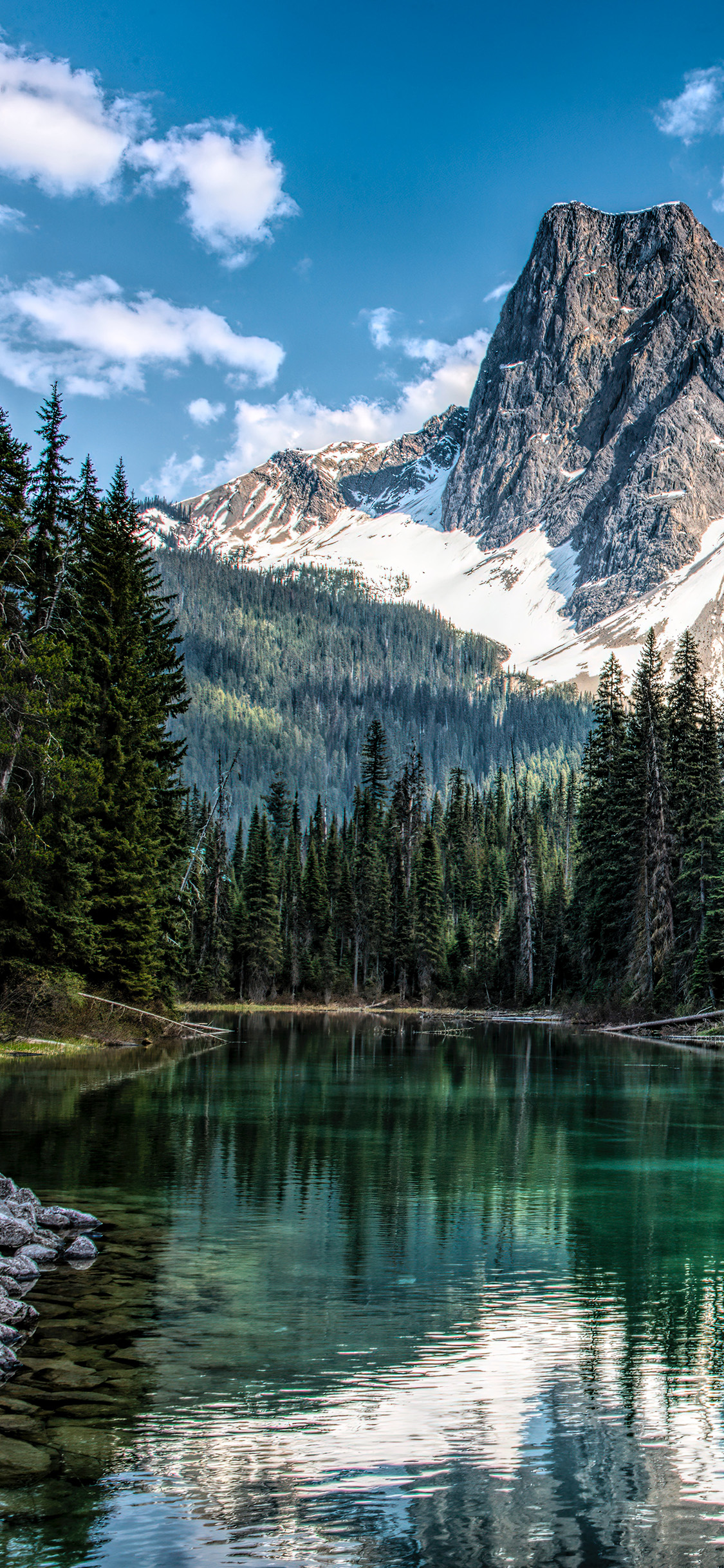 [2436×1125]郊外 自然 山湖美景 树木 苹果手机壁纸图片