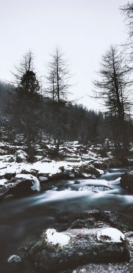 [2436x1125]郊外 自然 河流 树木 苹果手机壁纸图片