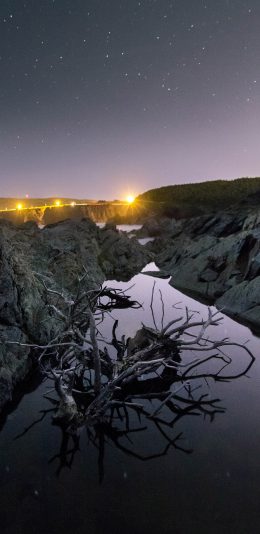 [2436x1125]郊外 自然 河流 树枝 枯枝 苹果手机壁纸图片