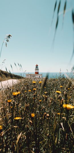 [2436x1125]郊外 自然 灯塔 鲜花 苹果手机壁纸图片