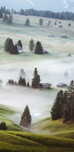 [2436x1125]郊外 自然 美景 树木 草坪 苹果手机壁纸图片