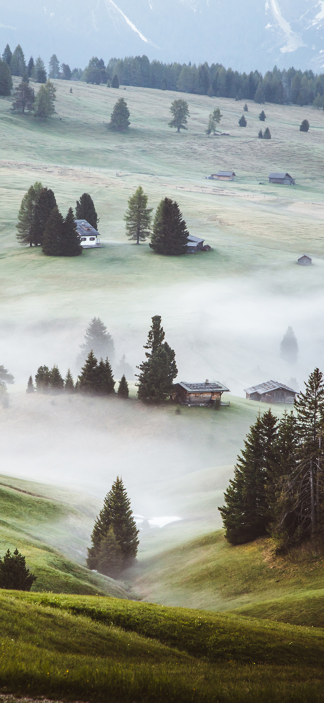 [2436×1125]郊外 自然 美景 树木 草坪 苹果手机壁纸图片