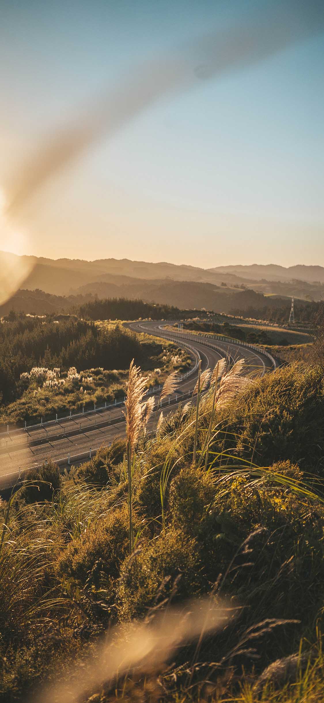 [2436×1125]郊外 自然 芦苇 阳光 美景 苹果手机壁纸图片