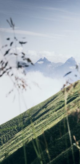[2436x1125]郊外 自然风景 山峰 小草 苹果手机壁纸图片