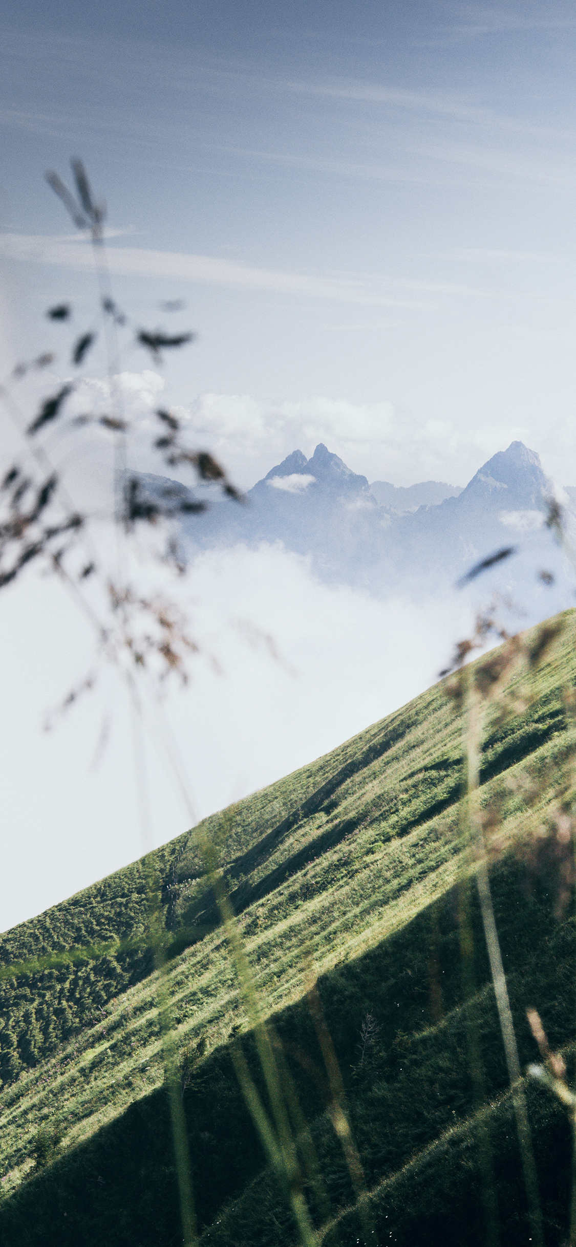 [2436×1125]郊外 自然风景 山峰 小草 苹果手机壁纸图片