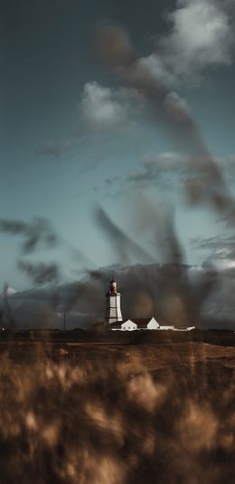 [2436x1125]郊外 芦苇 建筑 自然 苹果手机壁纸图片