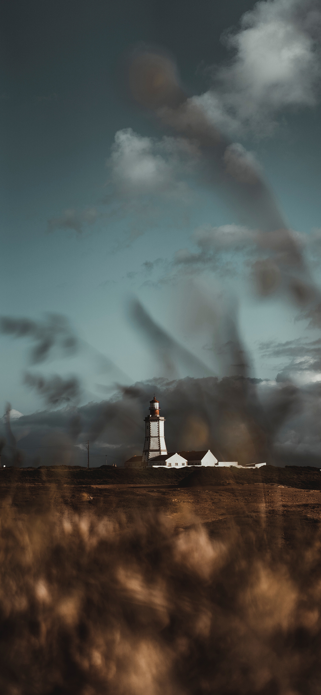 [2436×1125]郊外 芦苇 建筑 自然 苹果手机壁纸图片