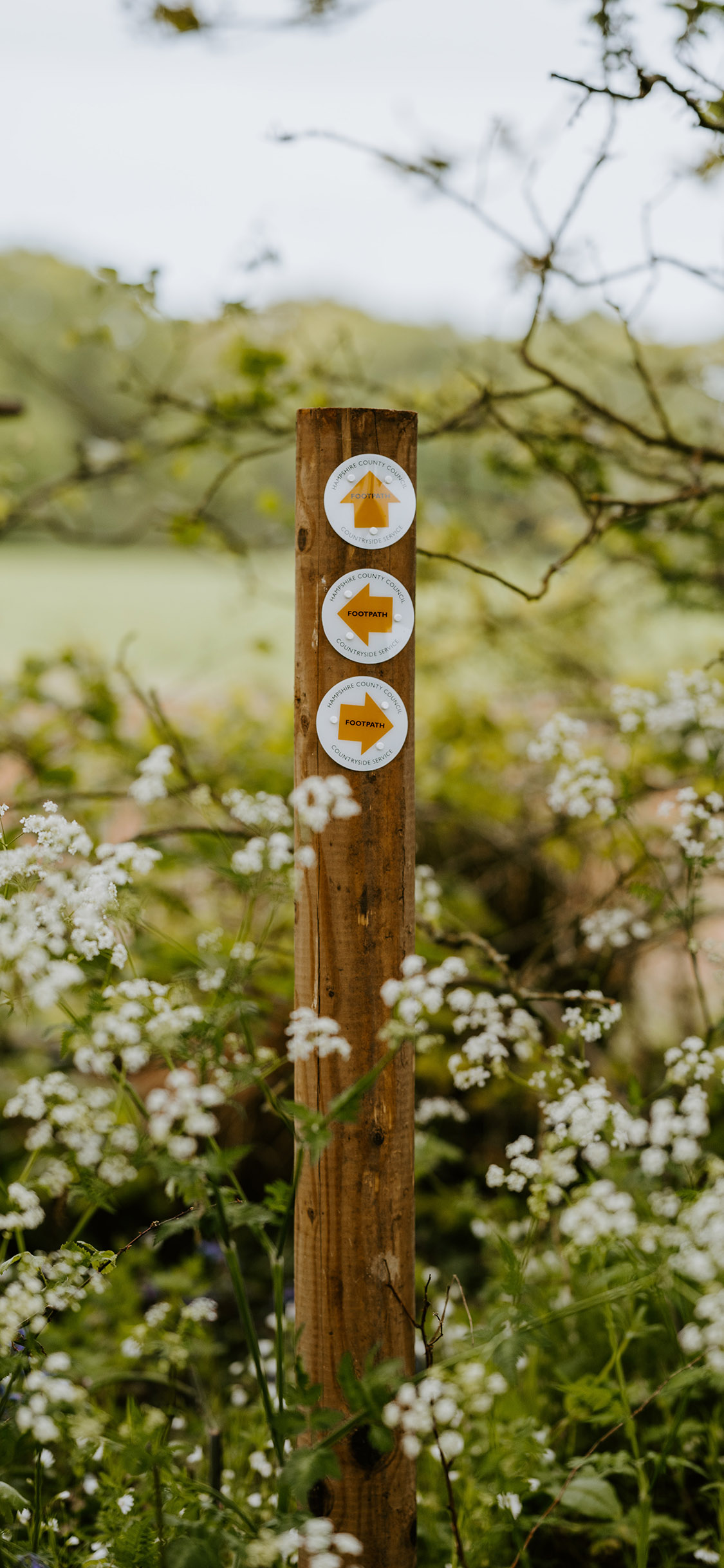 [2436×1125]郊外 花丛 木桩 指示牌 苹果手机壁纸图片