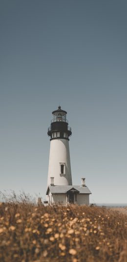 [2436x1125]郊外 花丛 灯塔 建筑 苹果手机壁纸图片