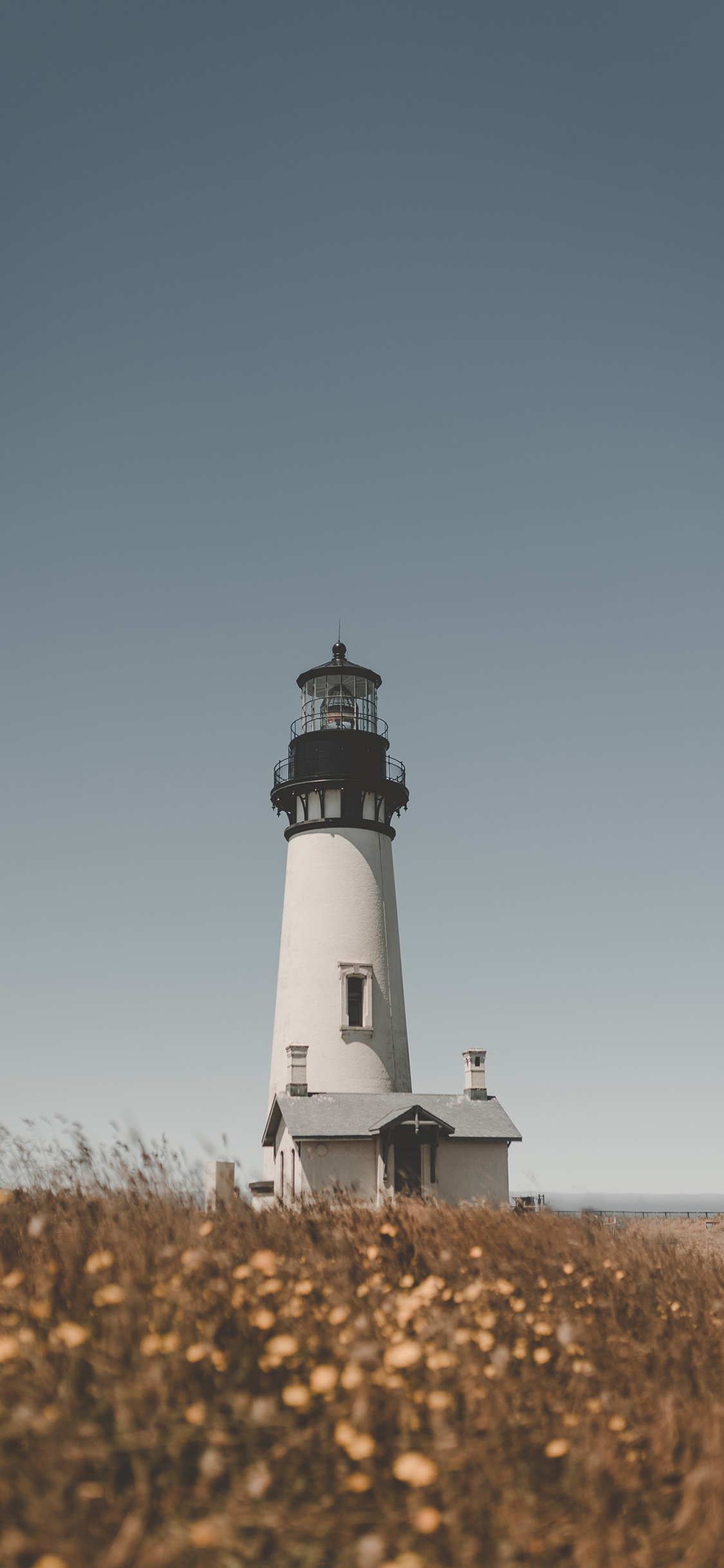 [2436×1125]郊外 花丛 灯塔 建筑 苹果手机壁纸图片