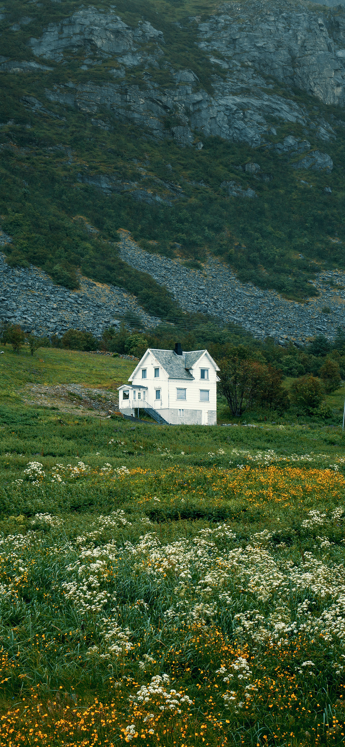 [2436×1125]郊外 花田 小屋 唯美 苹果手机壁纸图片