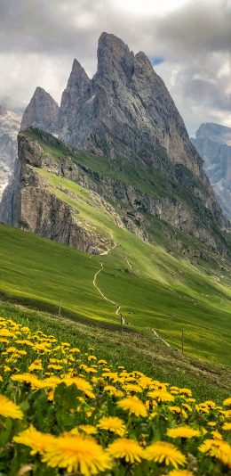 [2436x1125]郊外 花田 山峰 天空 美景 苹果手机壁纸图片