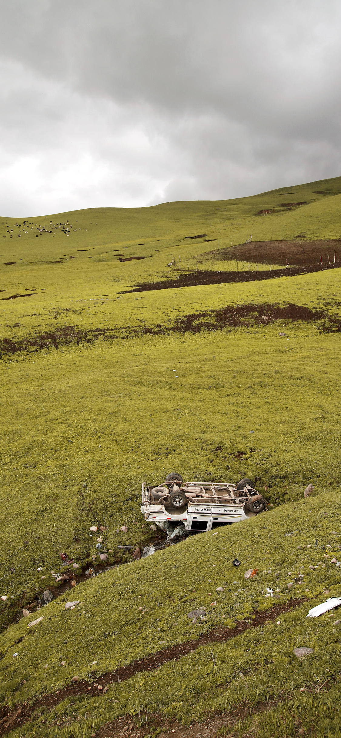 [2436×1125]郊外 草原 汽车 翻车 苹果手机壁纸图片