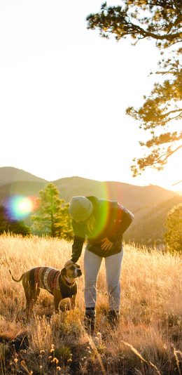 [2436x1125]郊外 草地 主人 宠物狗 阳光 苹果手机壁纸图片