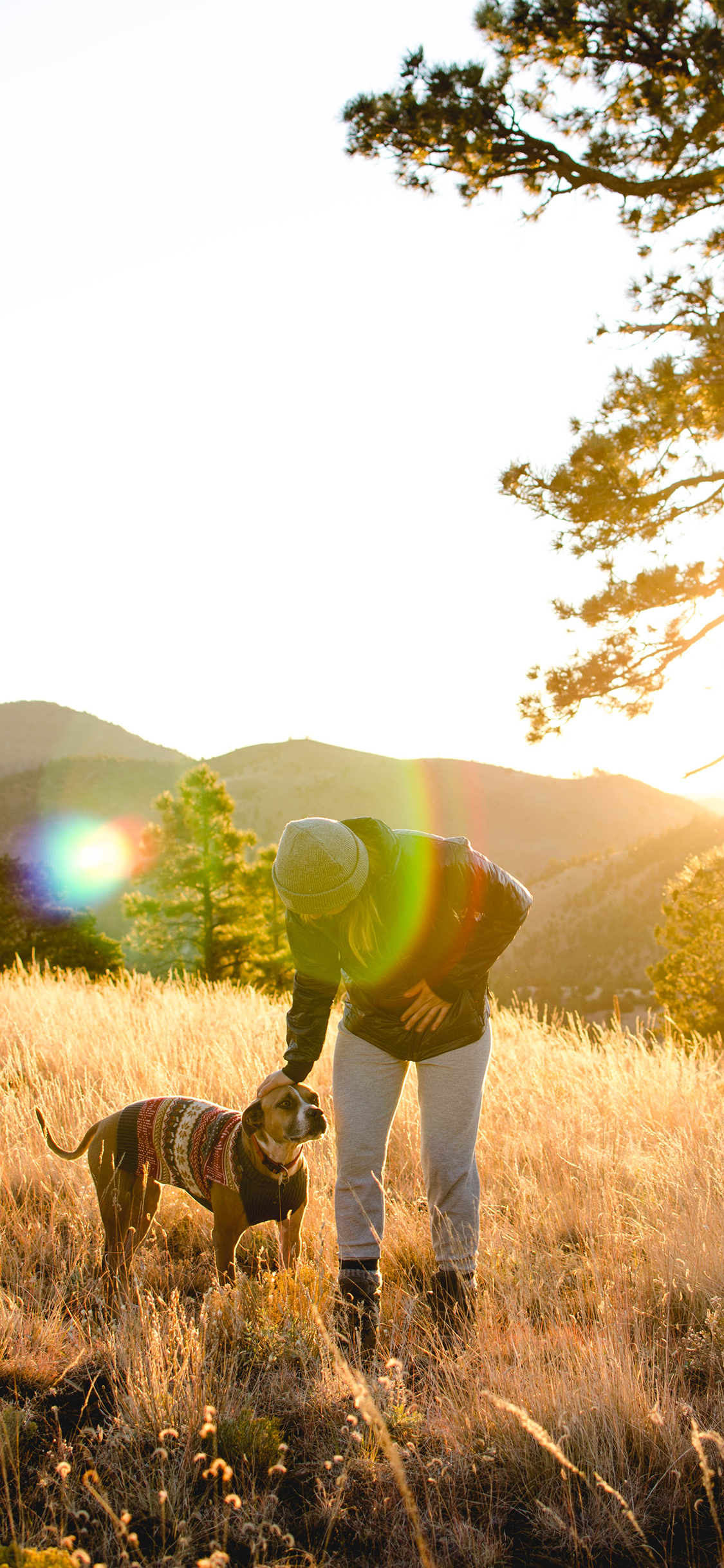 [2436×1125]郊外 草地 主人 宠物狗 阳光 苹果手机壁纸图片