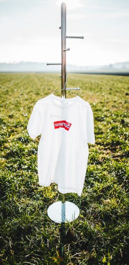 [2436x1125]郊外 草坪 T恤 白衬衫 苹果手机壁纸图片