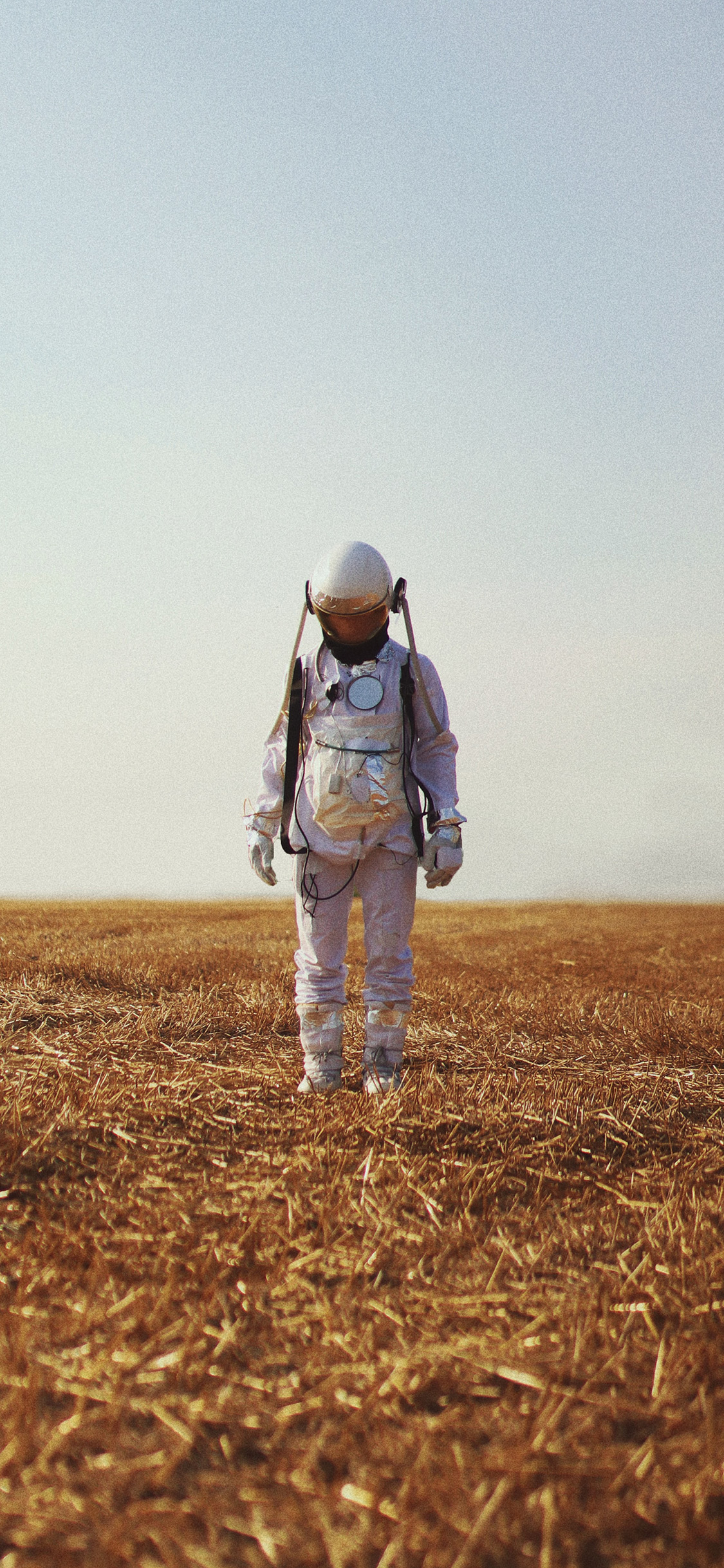 [2436×1125]郊外 草坪 写真 防护服 苹果手机壁纸图片