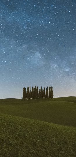 [2436x1125]郊外 草坪 树木 星空 夜景 苹果手机壁纸图片