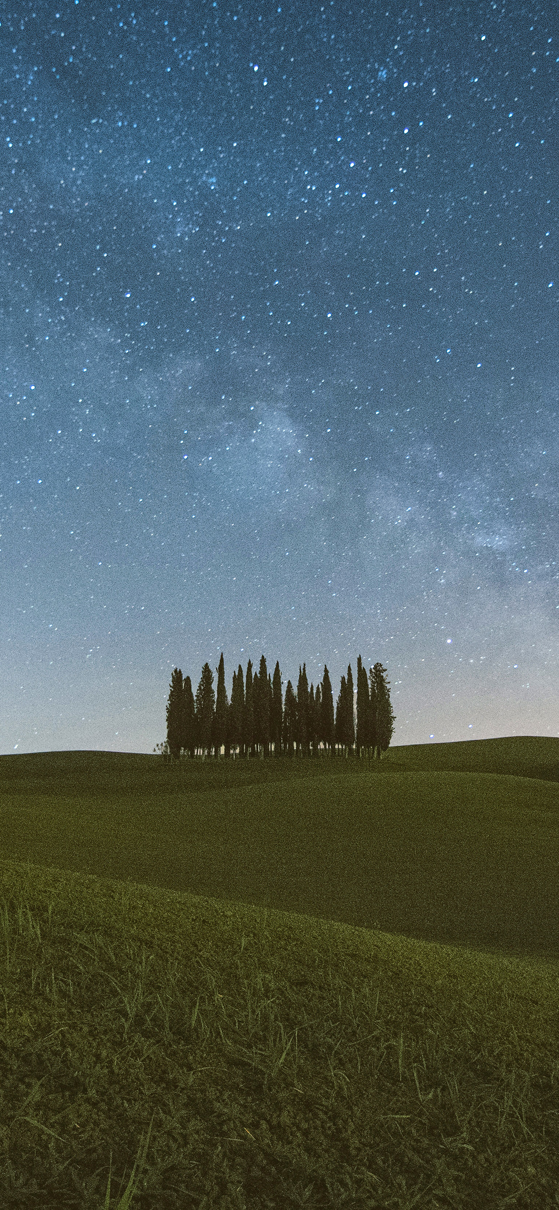 [2436×1125]郊外 草坪 树木 星空 夜景 苹果手机壁纸图片