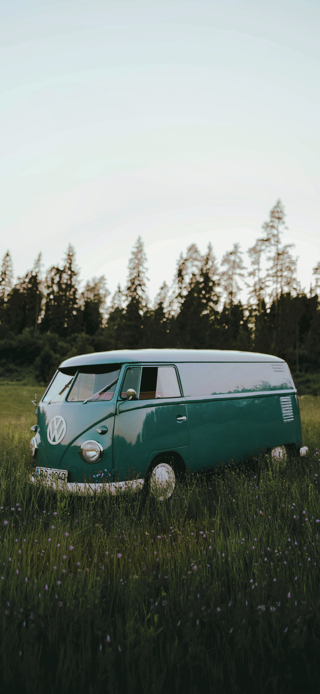 [2436×1125]郊外 草坪 汽车 小巴车 苹果手机壁纸图片