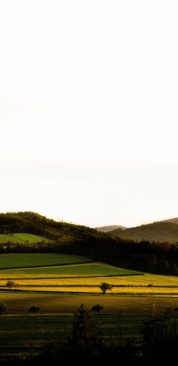 [2436x1125]郊外 草坪 自然 风光 苹果手机壁纸图片