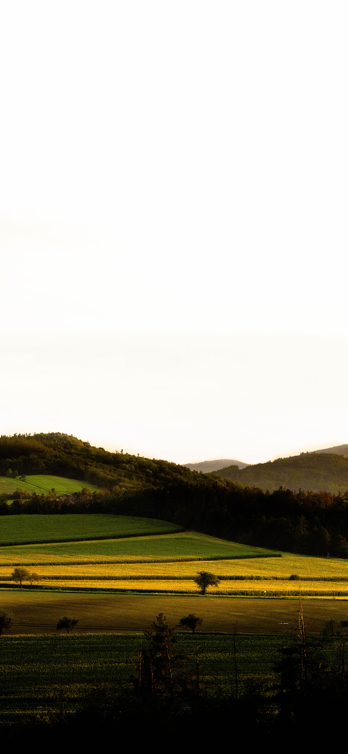 [2436×1125]郊外 草坪 自然 风光 苹果手机壁纸图片