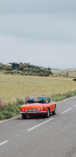 [2436x1125]郊外 草坪 车道 敞篷车 复古 苹果手机壁纸图片