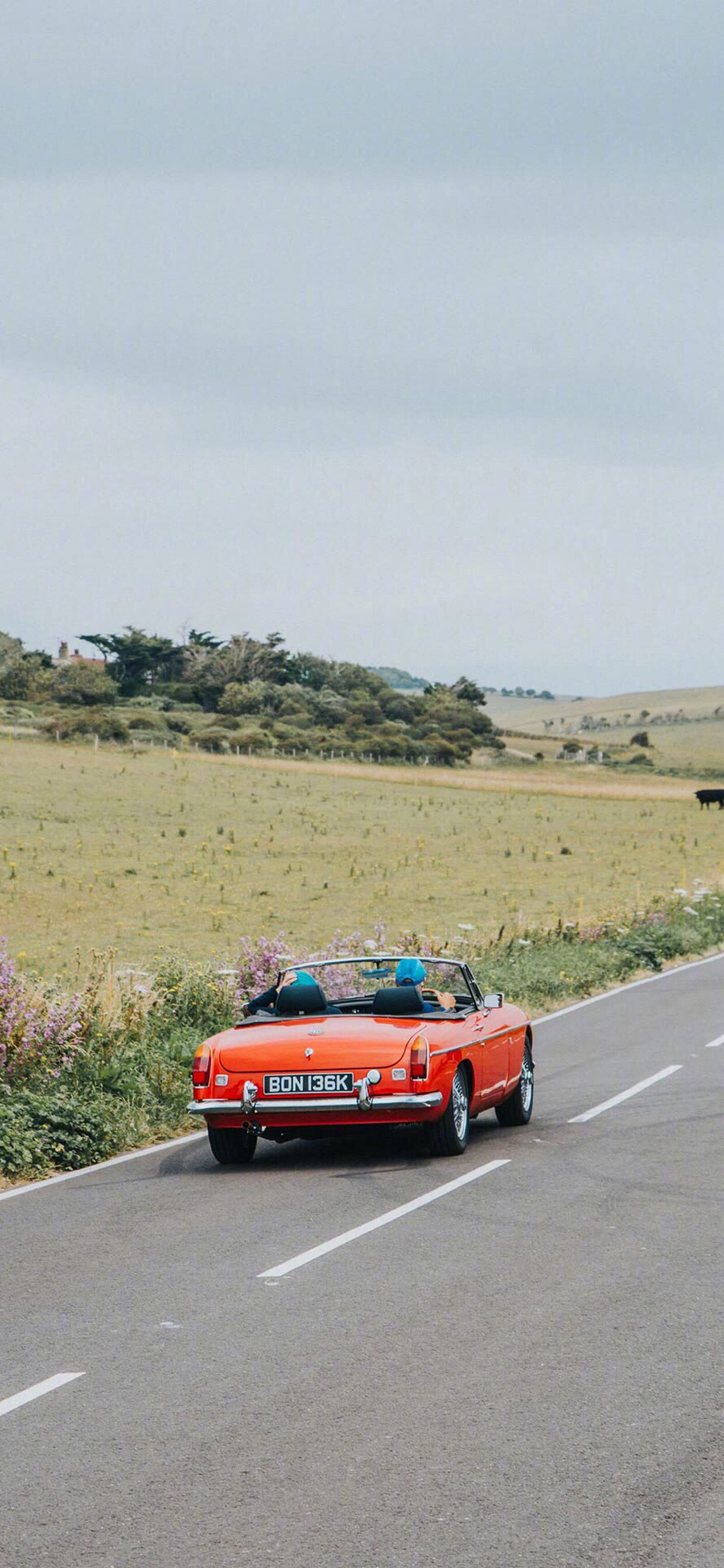 [2436×1125]郊外 草坪 车道 敞篷车 复古 苹果手机壁纸图片