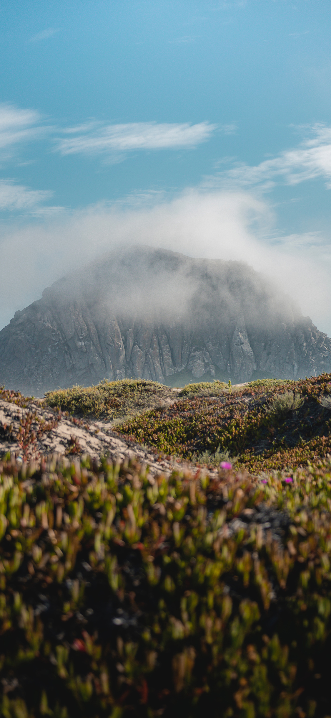 [2436×1125]郊外 蓝天白云 山峰 绿植 自然 苹果手机壁纸图片