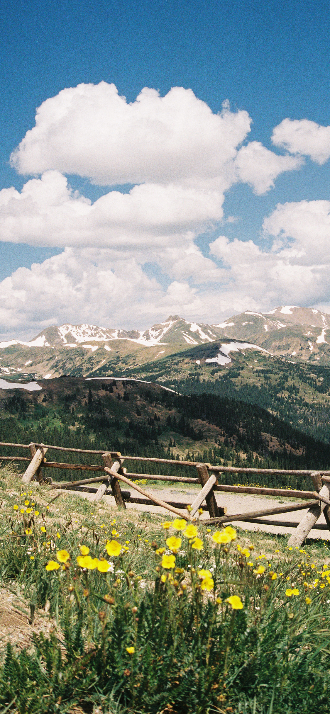 [2436×1125]郊外 蓝天白云 山峰 野花 美景 苹果手机壁纸图片
