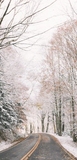 [2436x1125]郊外 道路 林木 白雪覆盖 苹果手机壁纸图片