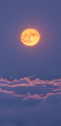 [2436x1125]郊外 雪山 白雪覆盖 日出 壮观 苹果手机壁纸图片