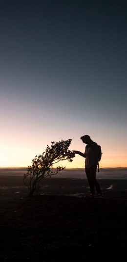 [2436x1125]郊外 风景 摄影 男孩 树木 苹果手机壁纸图片