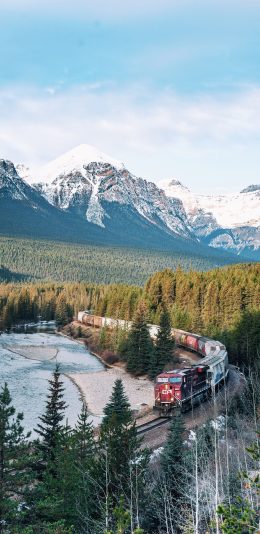 [2436x1125]郊外 风景 火车 树木 苹果手机壁纸图片