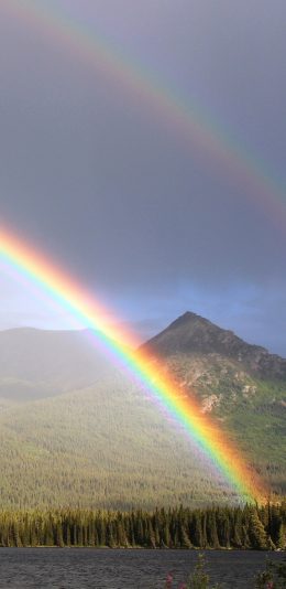 [2436x1125]郊外 风景 美丽彩虹 大山 苹果手机壁纸图片