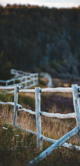 [2436x1125]野外 栅栏 栏杆 围建 苹果手机壁纸图片