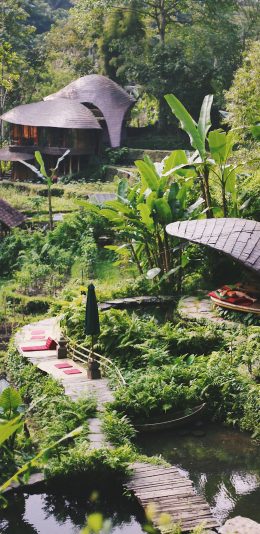 [2436x1125]野外 树林 度假 休闲 景色 苹果手机壁纸图片