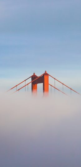 [2436x1125]金门大桥 云端 钢索 天空 苹果手机壁纸图片