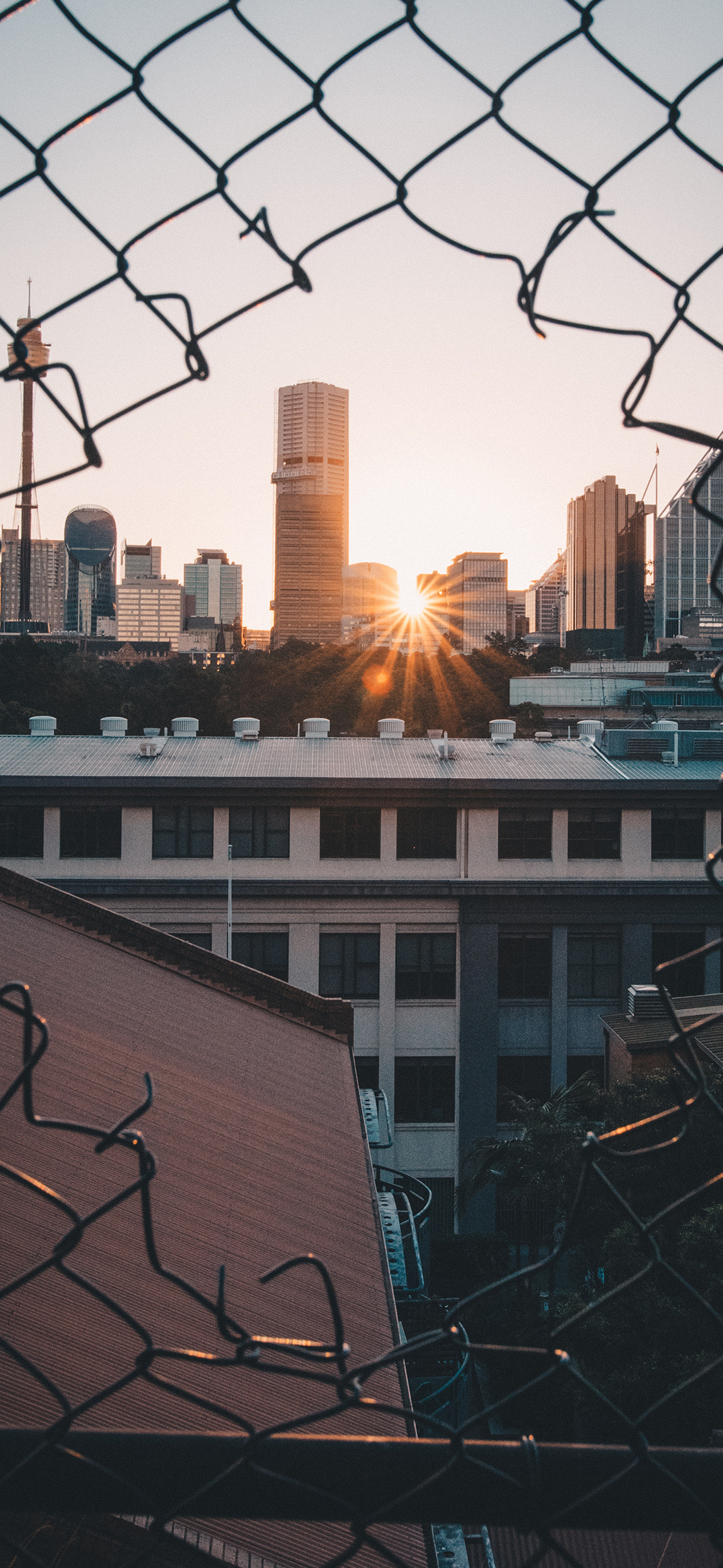 [2436×1125]铁丝网 建筑 城市 日出 苹果手机壁纸图片